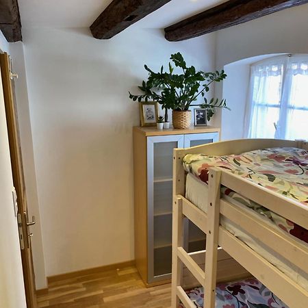 Apartmán Le 128, Duplex Alsacien 10 Personnes, Piscine Horbourg Exteriér fotografie