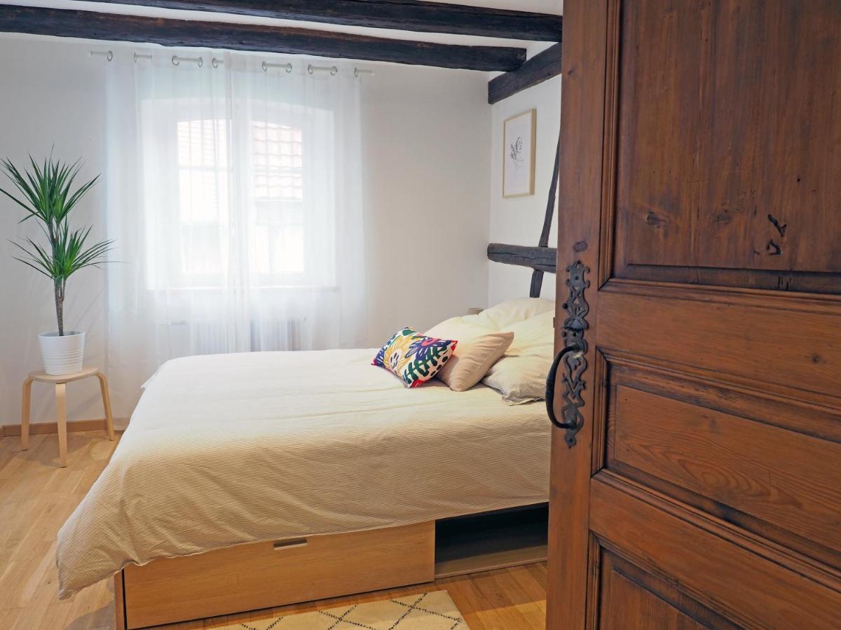 Apartmán Le 128, Duplex Alsacien 10 Personnes, Piscine Horbourg Exteriér fotografie