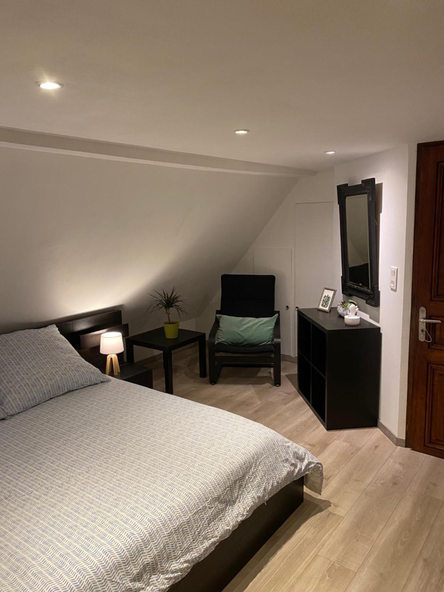 Apartmán Le 128, Duplex Alsacien 10 Personnes, Piscine Horbourg Exteriér fotografie